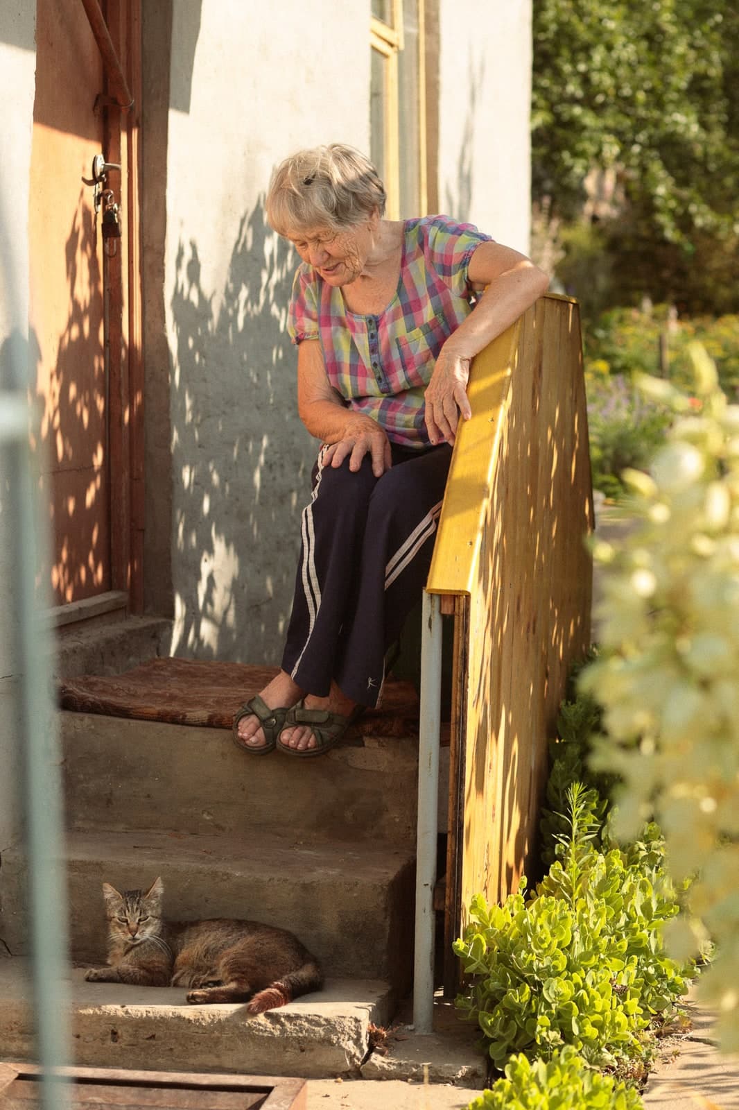 Sitting on sunlit porch steps, a tabby cat dozing below