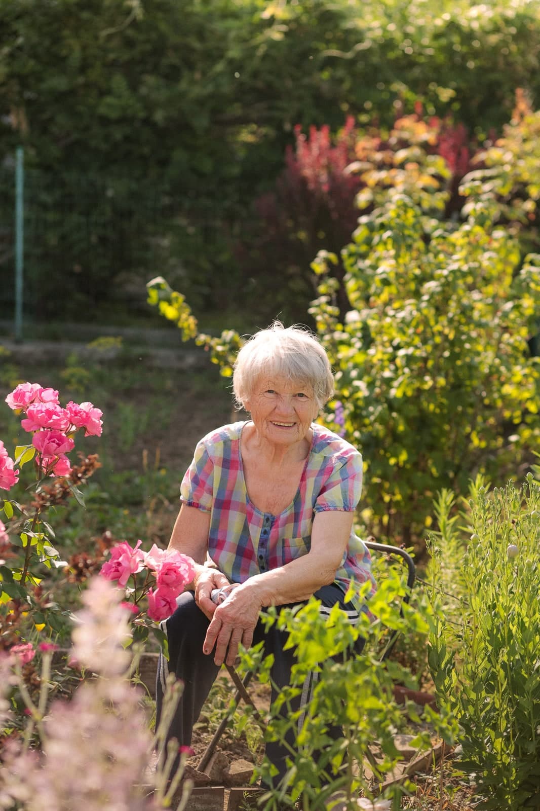 Sitting on a garden chair between pink roses, hands on the knees, smiling