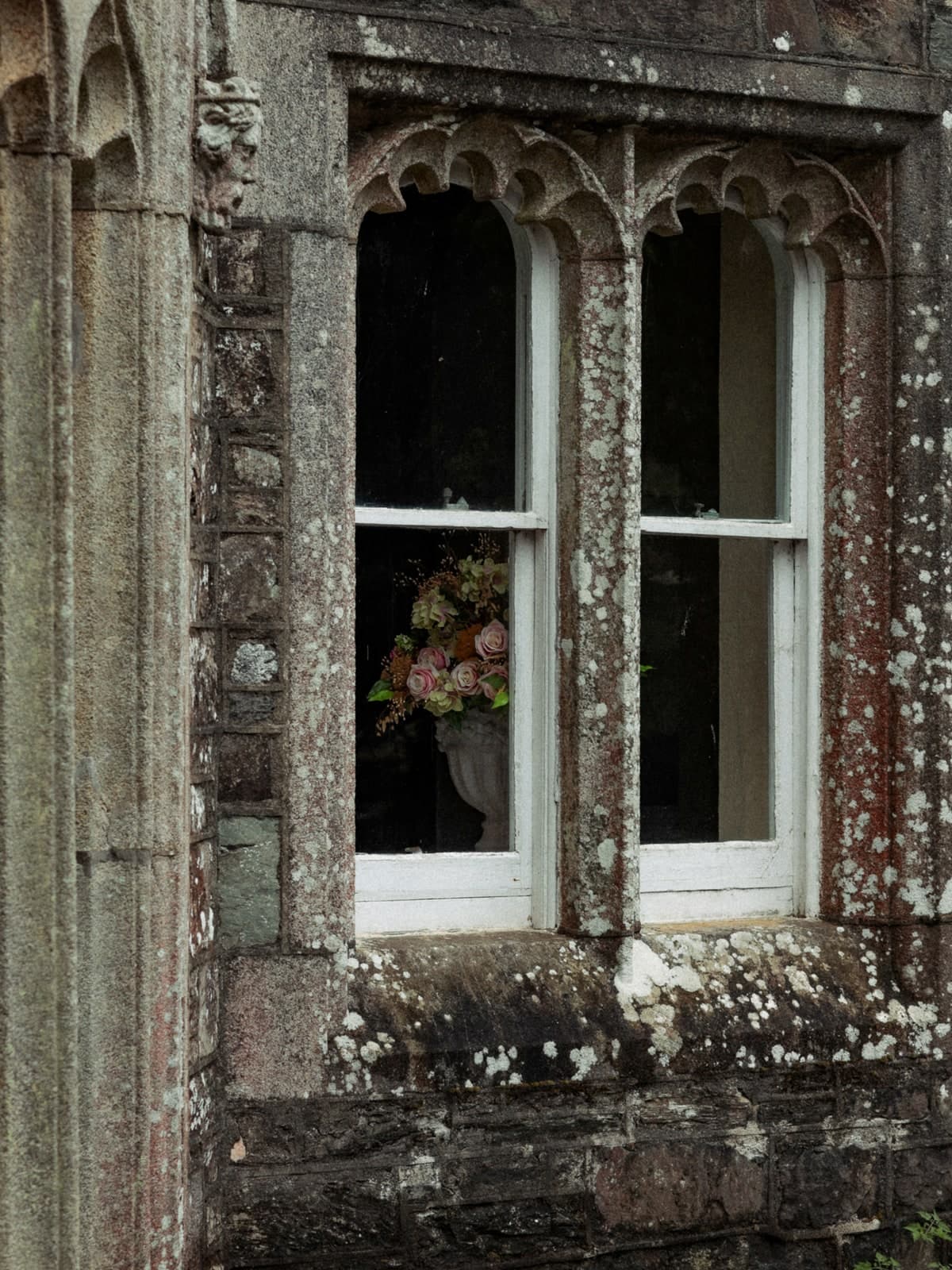 A lichen-covered Gothic window with a vase of roses behind the glass